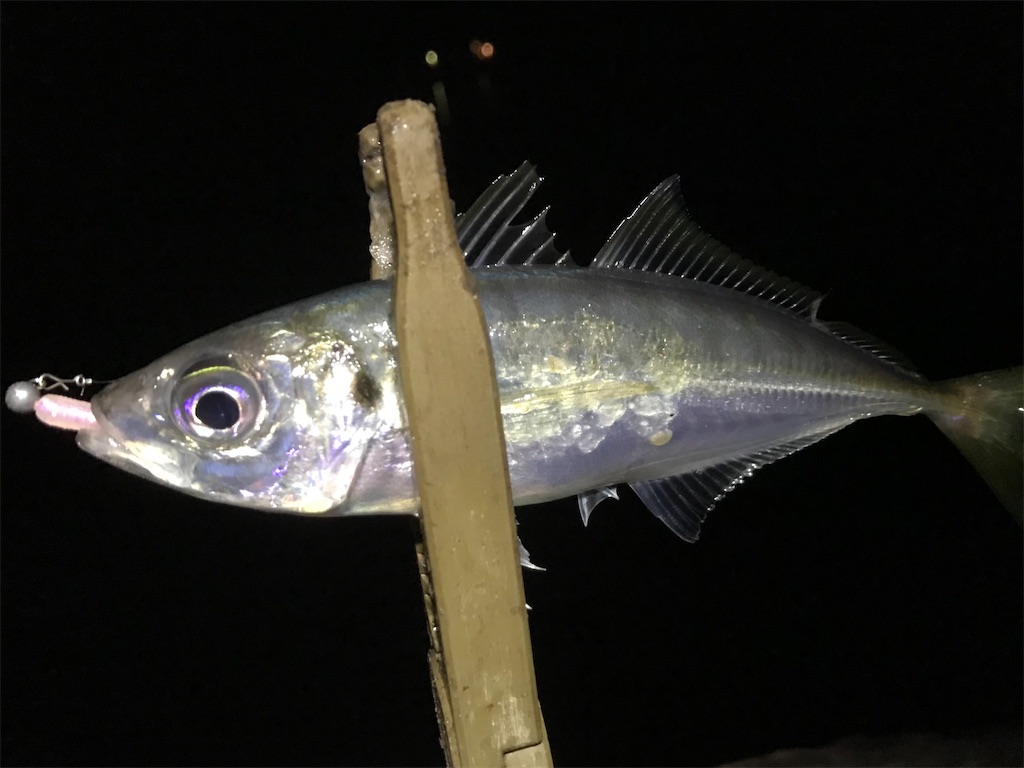 f:id:esojima3:20200322195037j:image