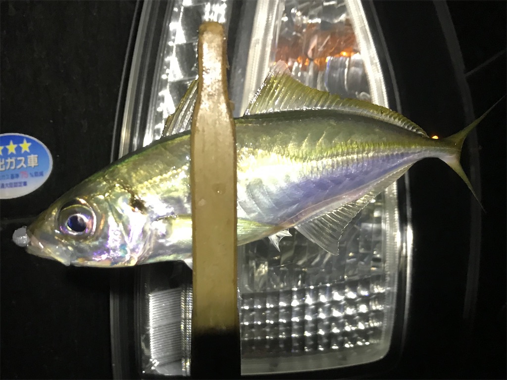 f:id:esojima3:20200322195040j:image