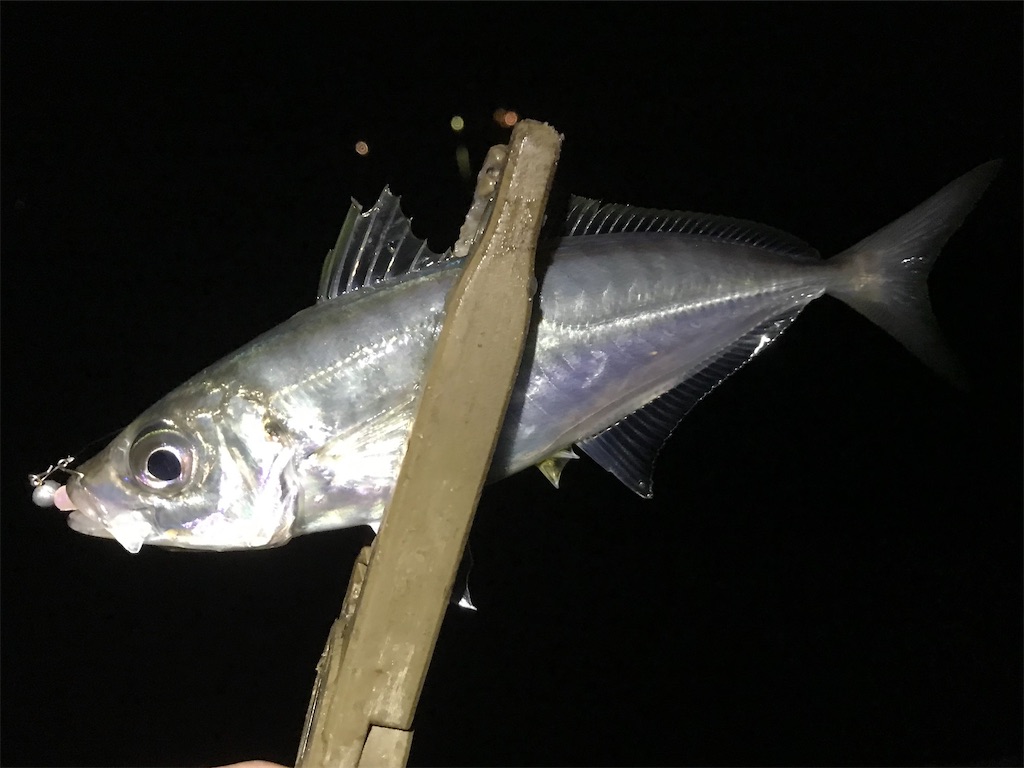 f:id:esojima3:20200322195044j:image