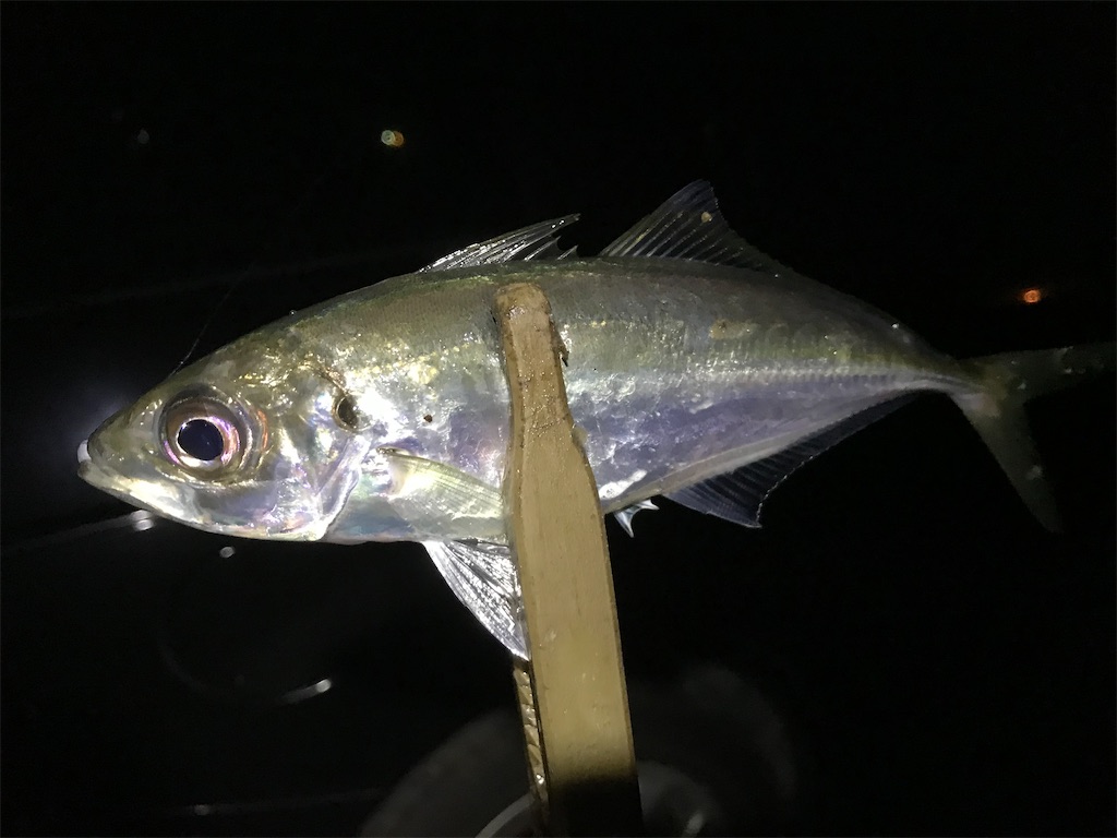 f:id:esojima3:20200322195051j:image