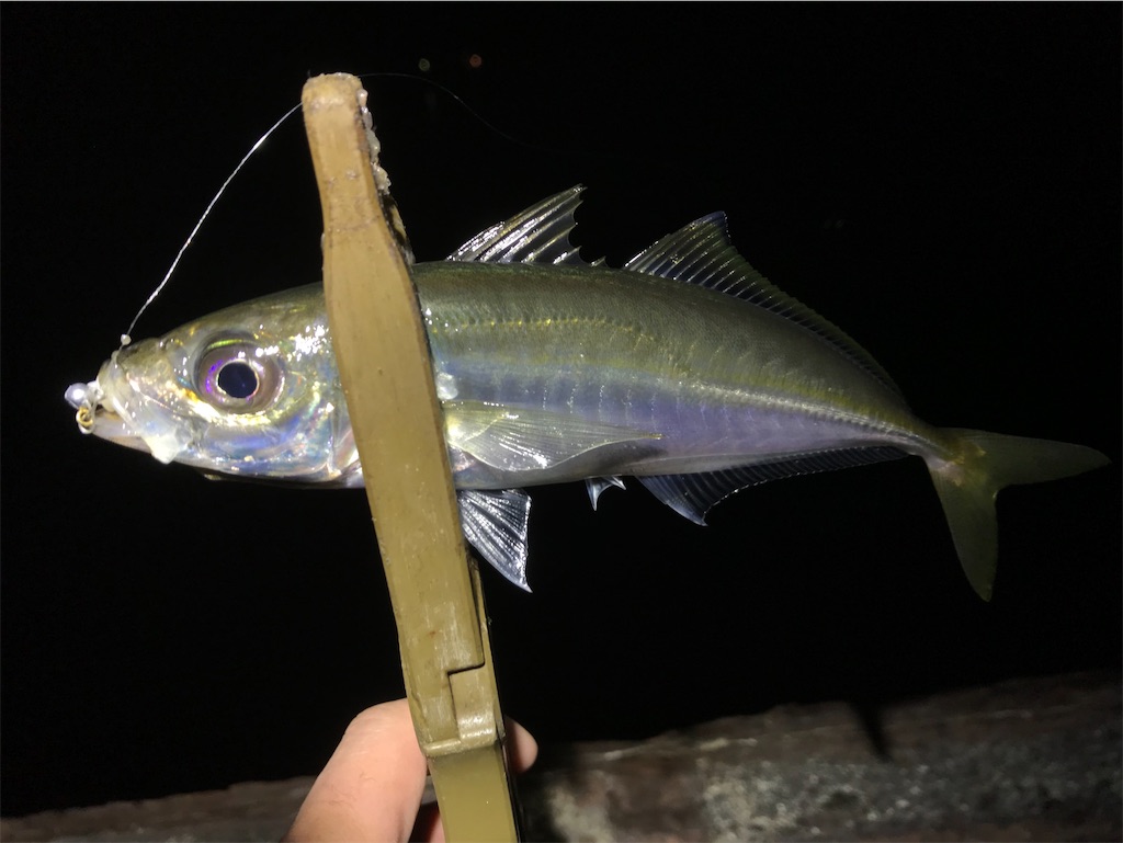 f:id:esojima3:20200322195054j:image