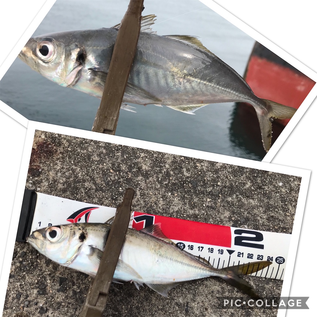 f:id:esojima3:20200322195729j:image