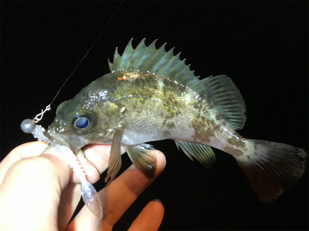 f:id:esojima3:20200324000844j:image
