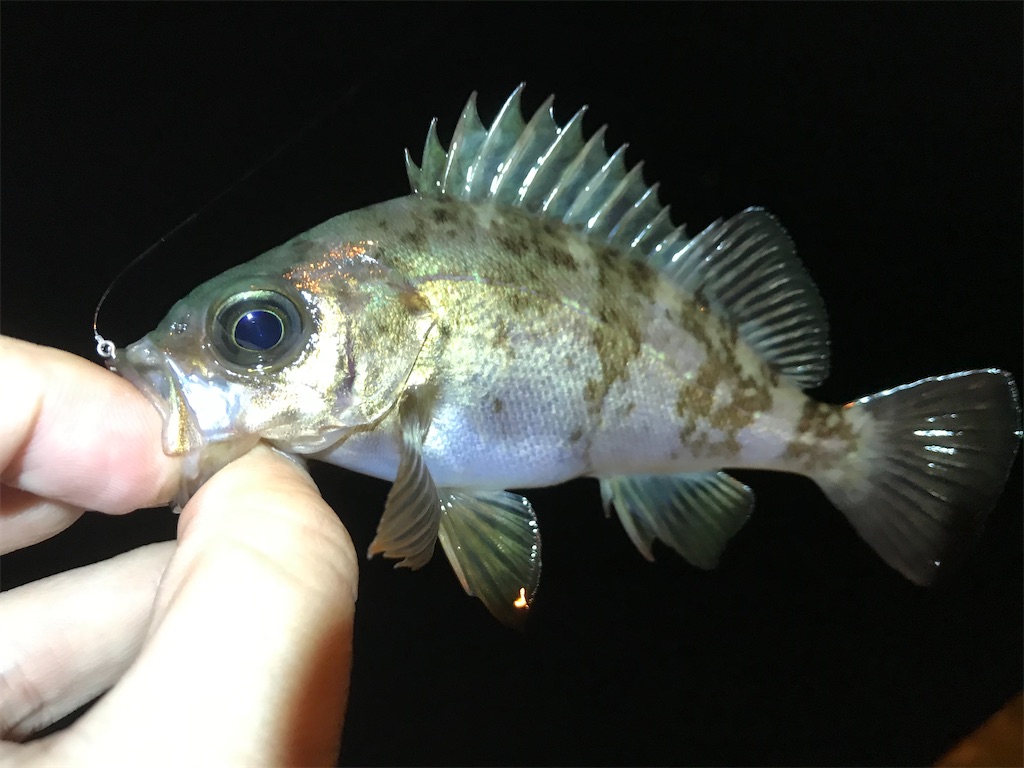 f:id:esojima3:20200324000851j:image