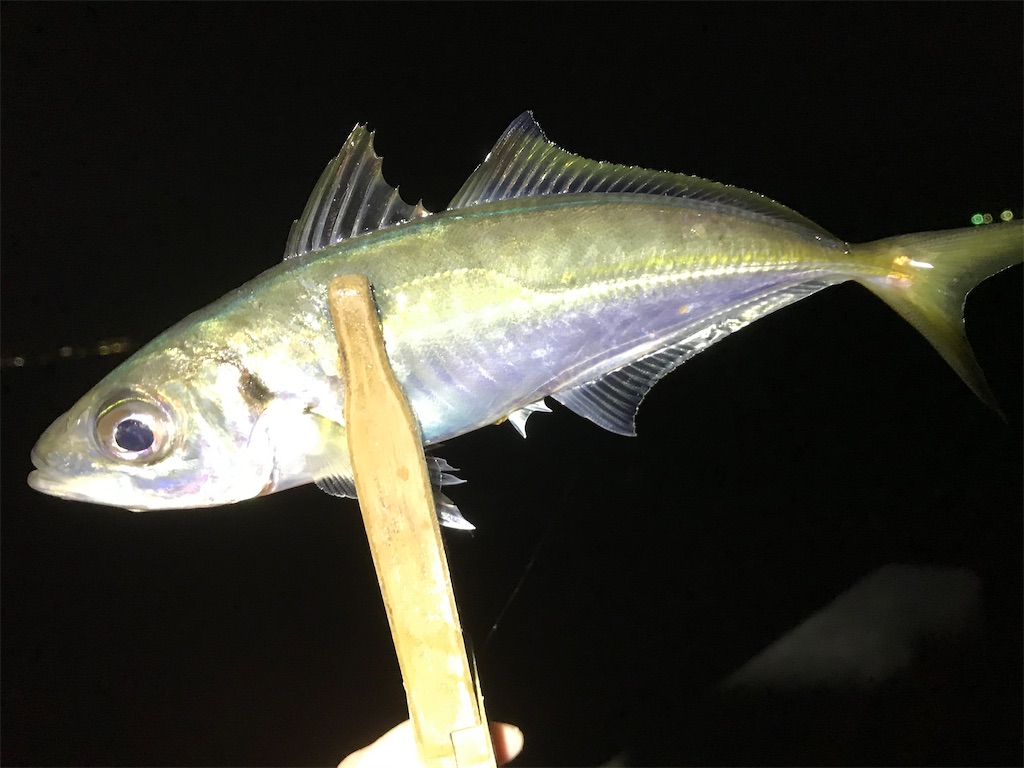 f:id:esojima3:20200324001112j:image