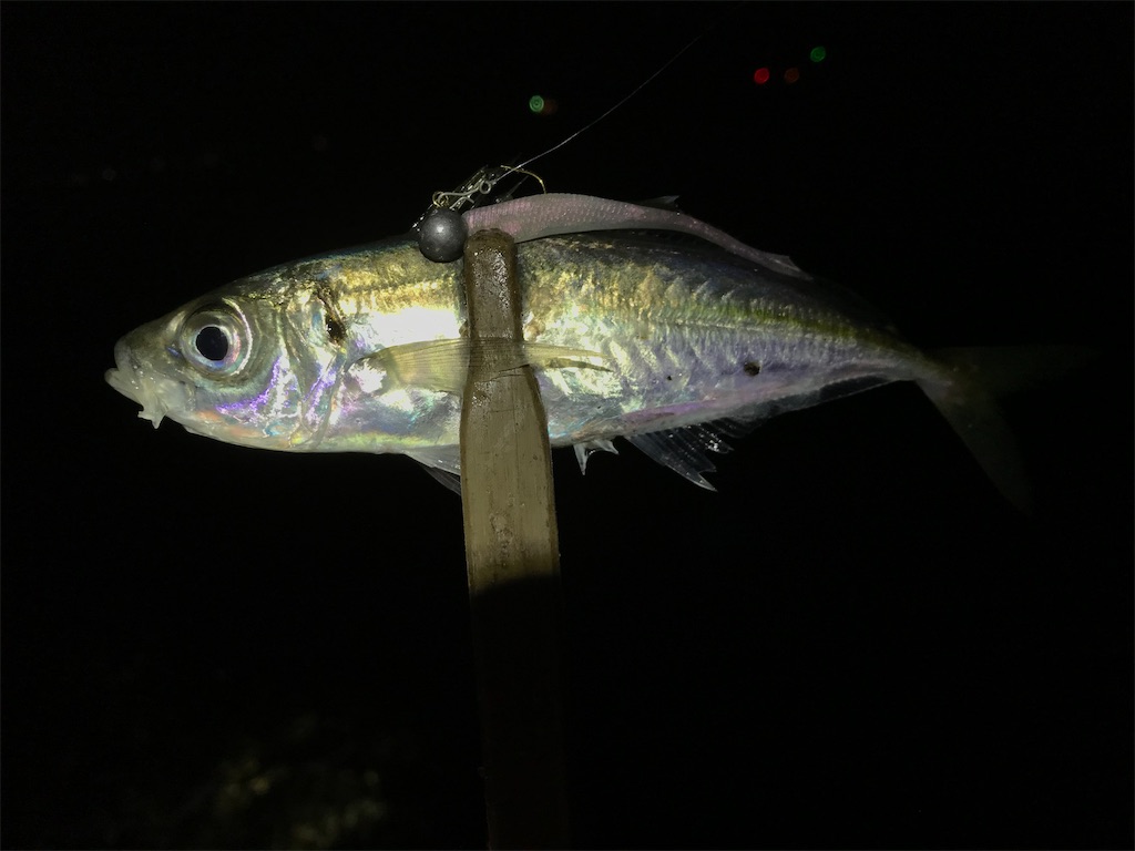 f:id:esojima3:20200324001115j:image