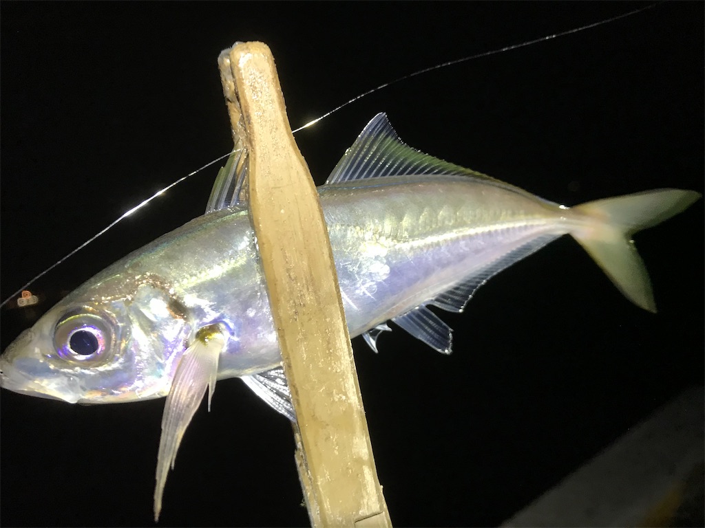 f:id:esojima3:20200324001118j:image