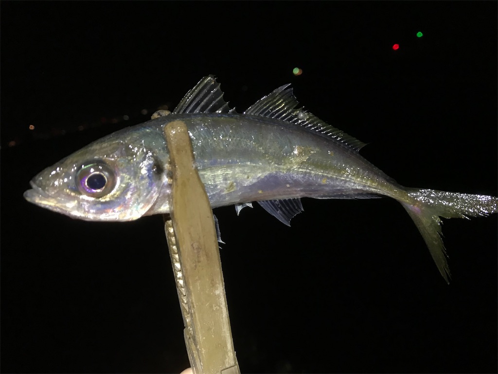 f:id:esojima3:20200324001122j:image