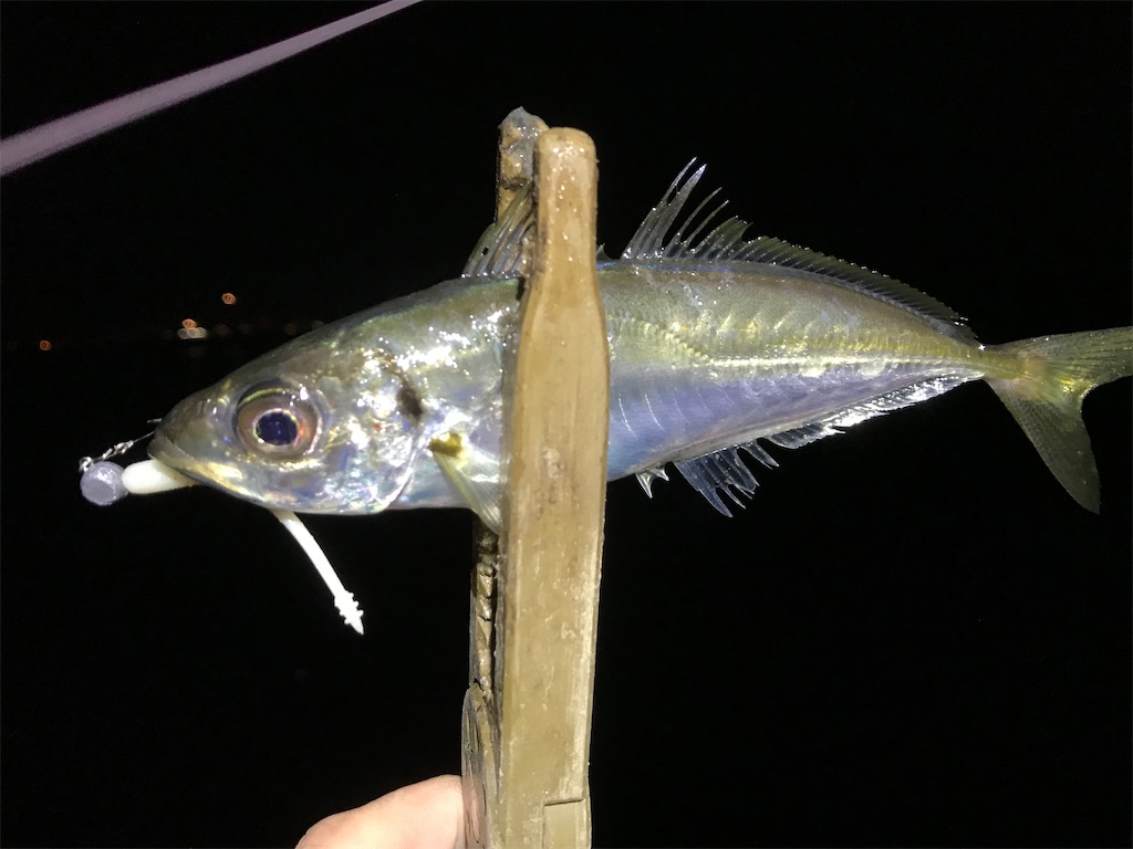 f:id:esojima3:20200324001125j:image