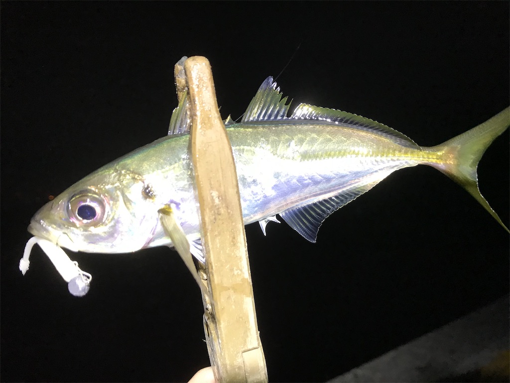 f:id:esojima3:20200324001128j:image