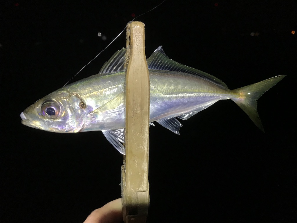 f:id:esojima3:20200324001133j:image