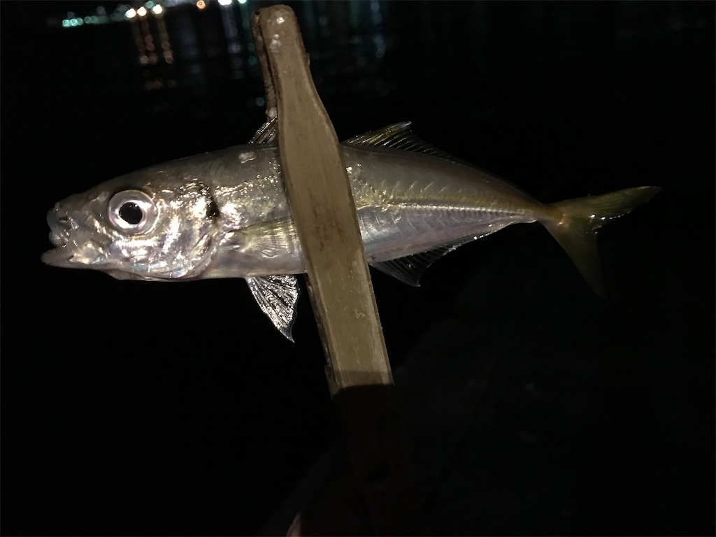 f:id:esojima3:20200324231833j:image