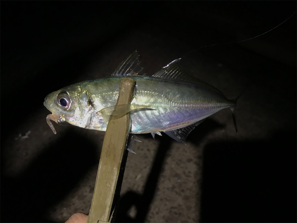 f:id:esojima3:20200324232326j:image