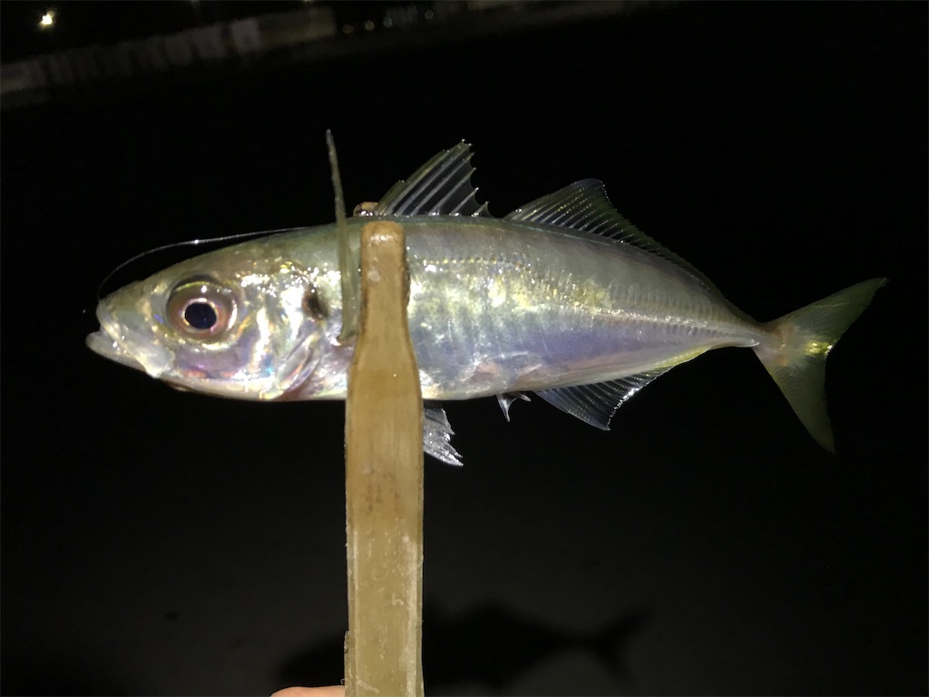 f:id:esojima3:20200324232335j:image