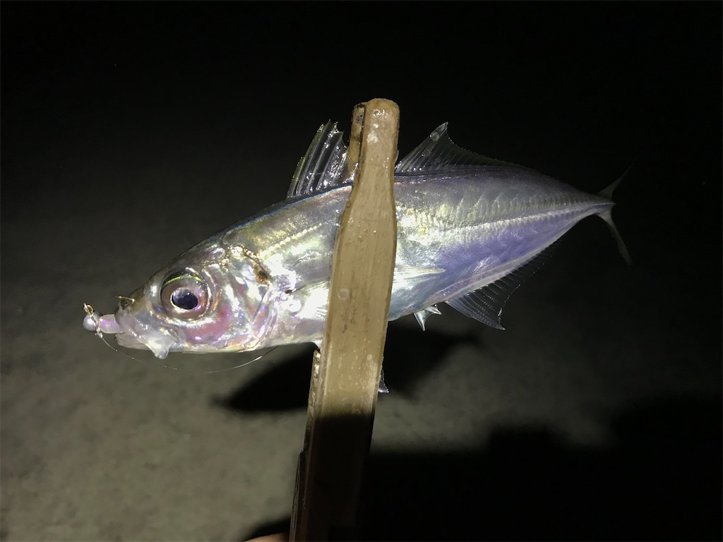 f:id:esojima3:20200324232339j:image