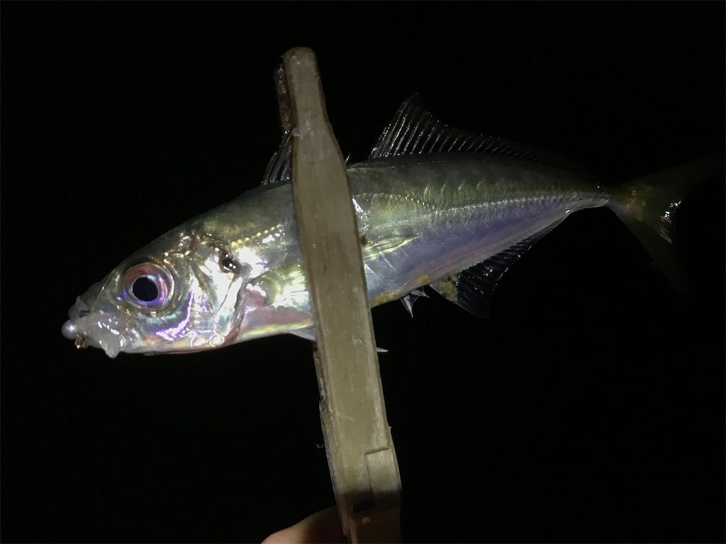 f:id:esojima3:20200324232501j:image