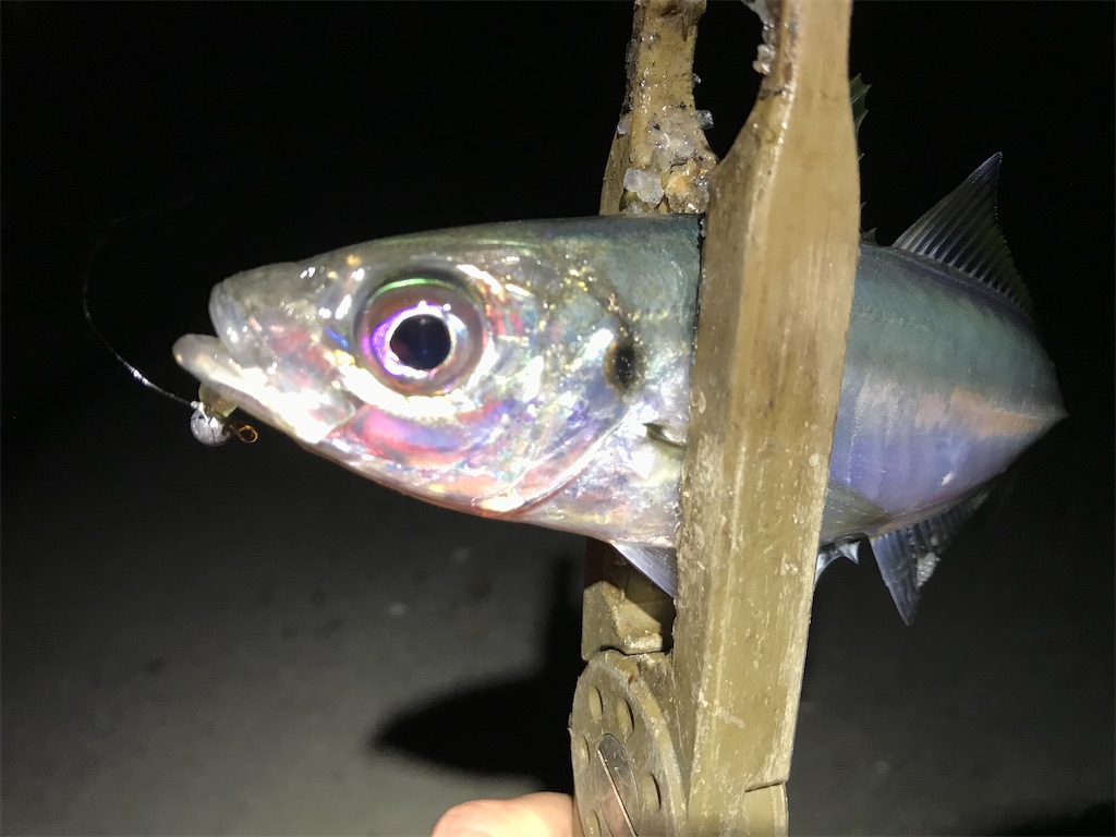 f:id:esojima3:20200324232510j:image