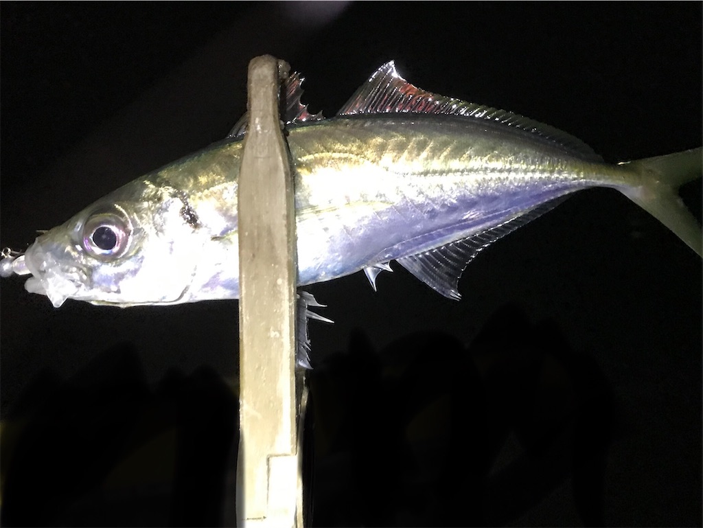 f:id:esojima3:20200324232846j:image