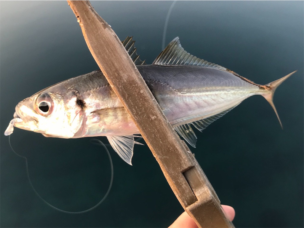 f:id:esojima3:20200326215708j:image