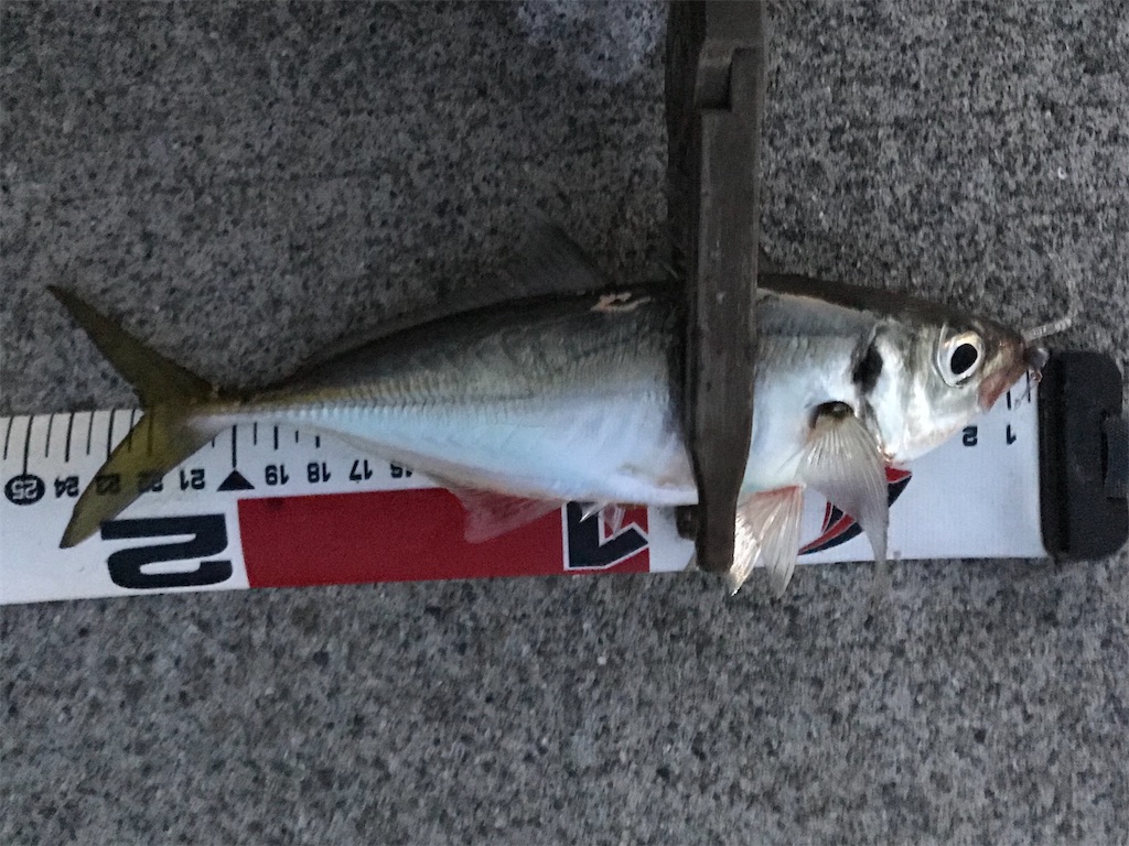 f:id:esojima3:20200326215751j:image