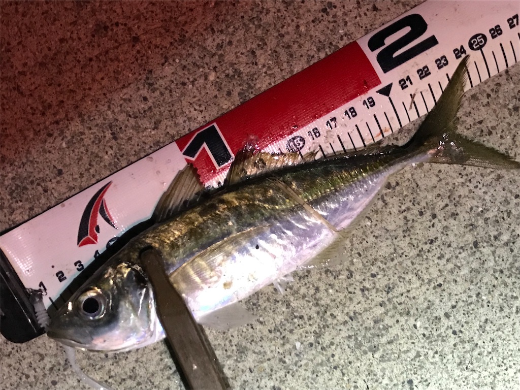 f:id:esojima3:20200326215756j:image