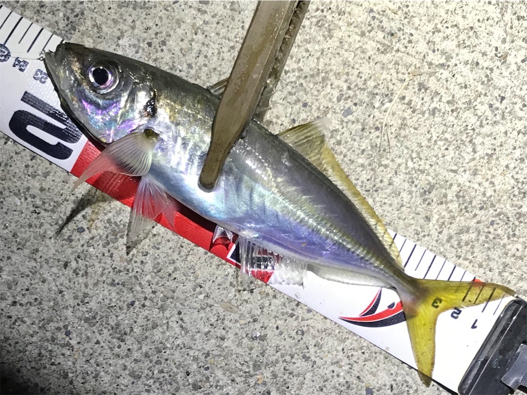 f:id:esojima3:20200326215759j:image