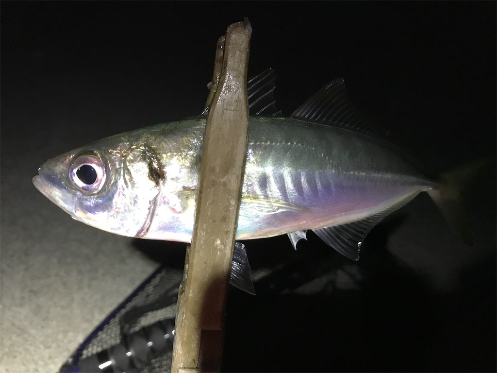 f:id:esojima3:20200326215803j:image