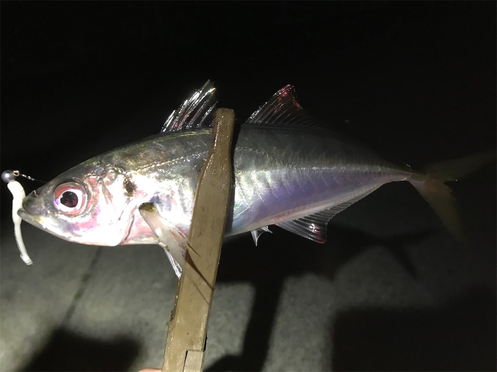 f:id:esojima3:20200326220006j:image