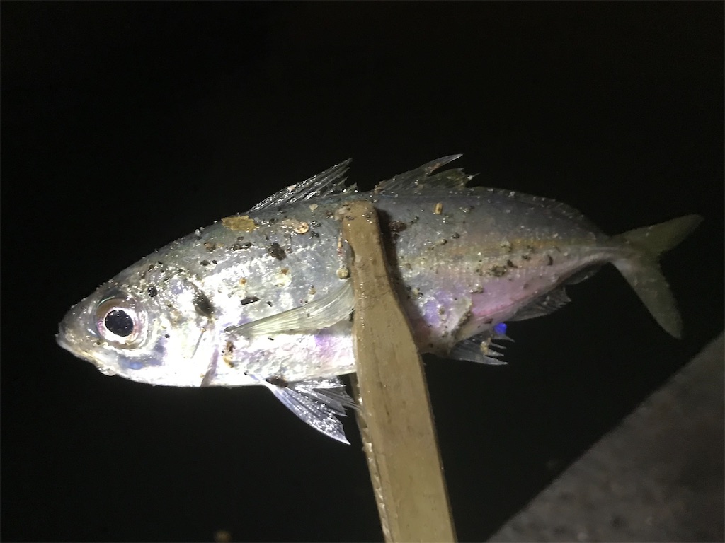 f:id:esojima3:20200327220441j:image