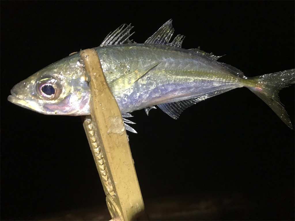 f:id:esojima3:20200328115423j:image