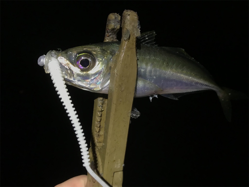 f:id:esojima3:20200328115426j:image