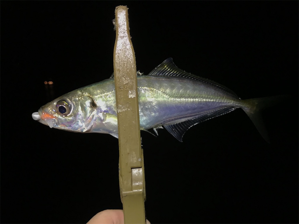 f:id:esojima3:20200328115430j:image