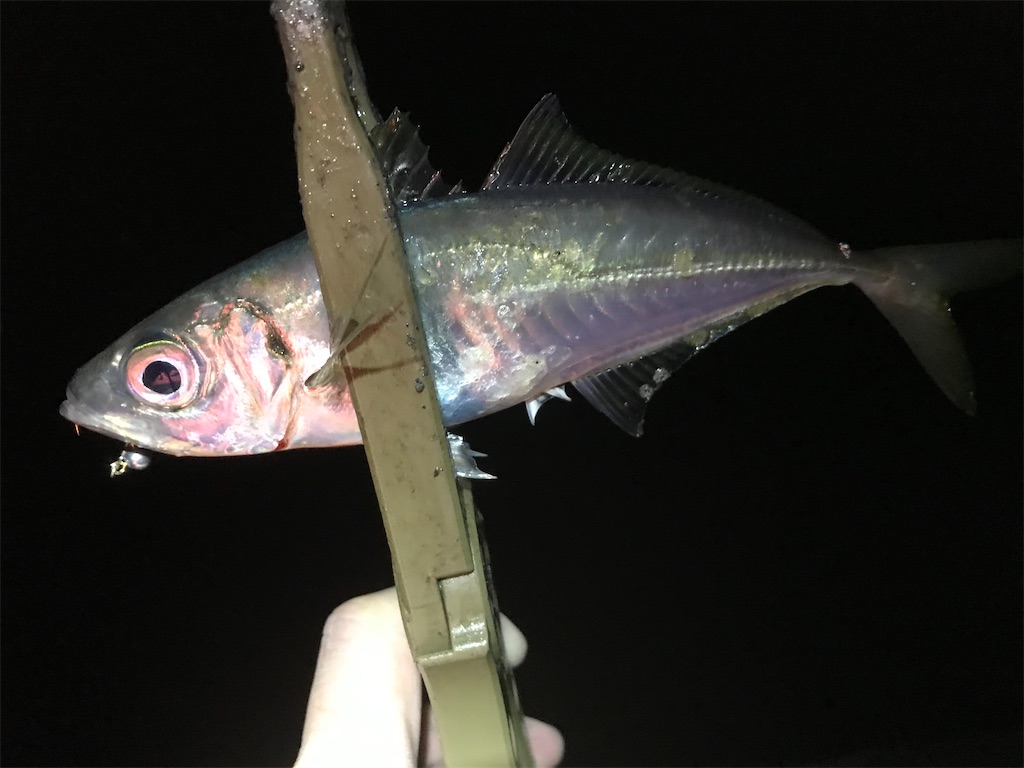 f:id:esojima3:20200328115535j:image