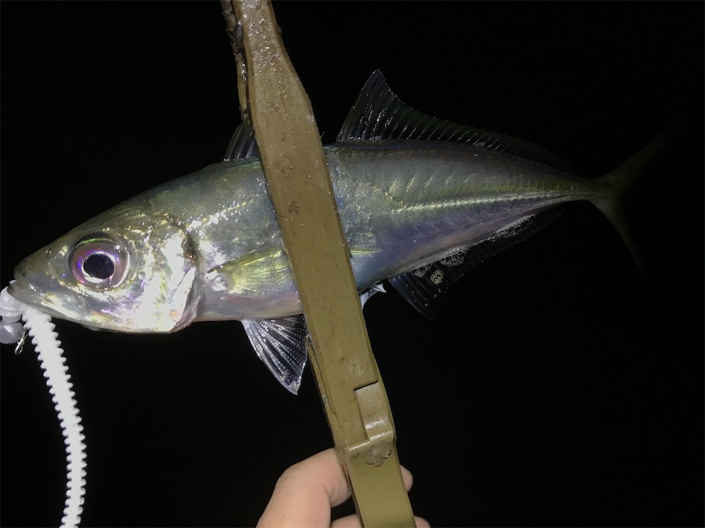 f:id:esojima3:20200328115538j:image