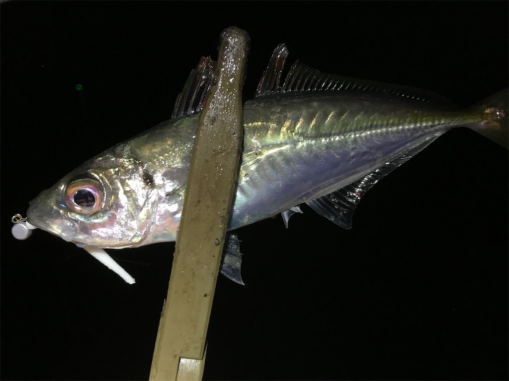 f:id:esojima3:20200328115545j:image