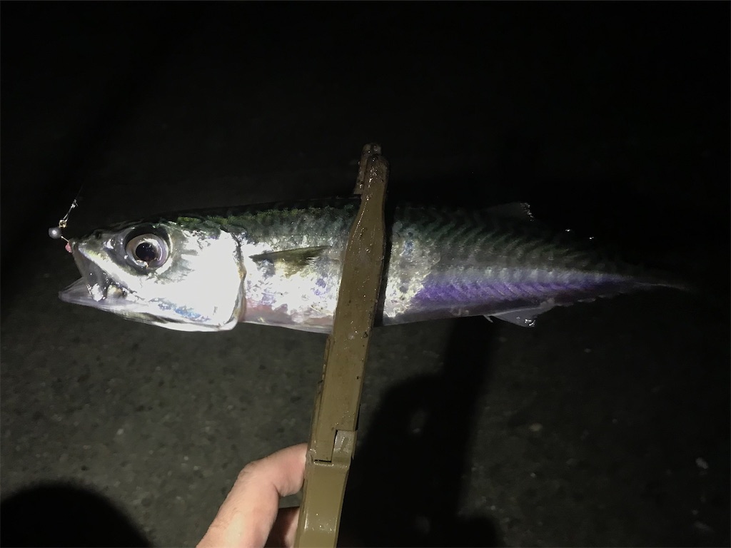 f:id:esojima3:20200328115946j:image