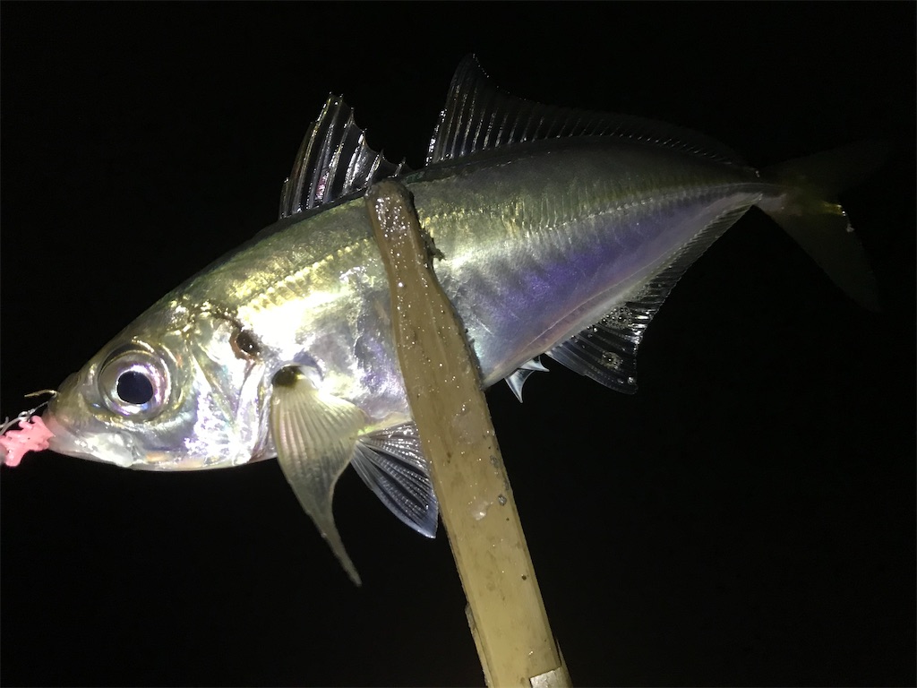 f:id:esojima3:20200328120025j:image