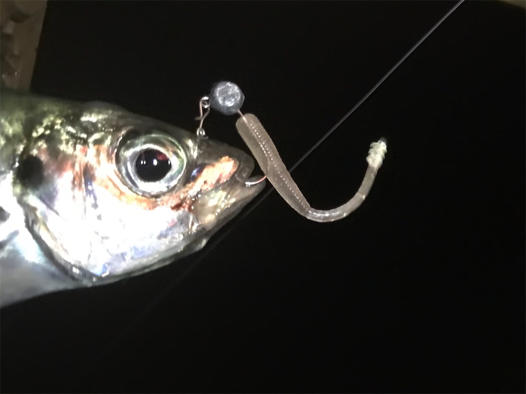 f:id:esojima3:20200328120028j:image