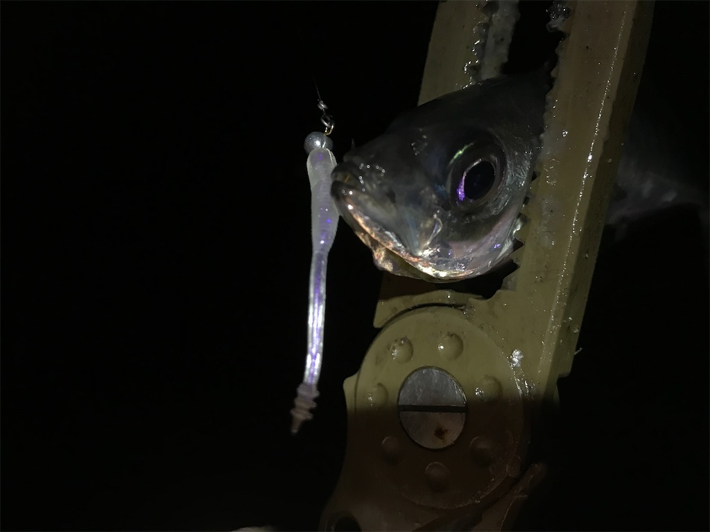 f:id:esojima3:20200328120035j:image