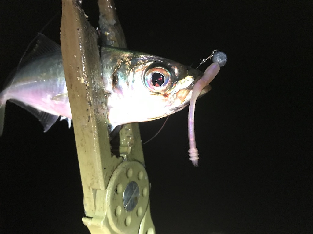 f:id:esojima3:20200328120039j:image