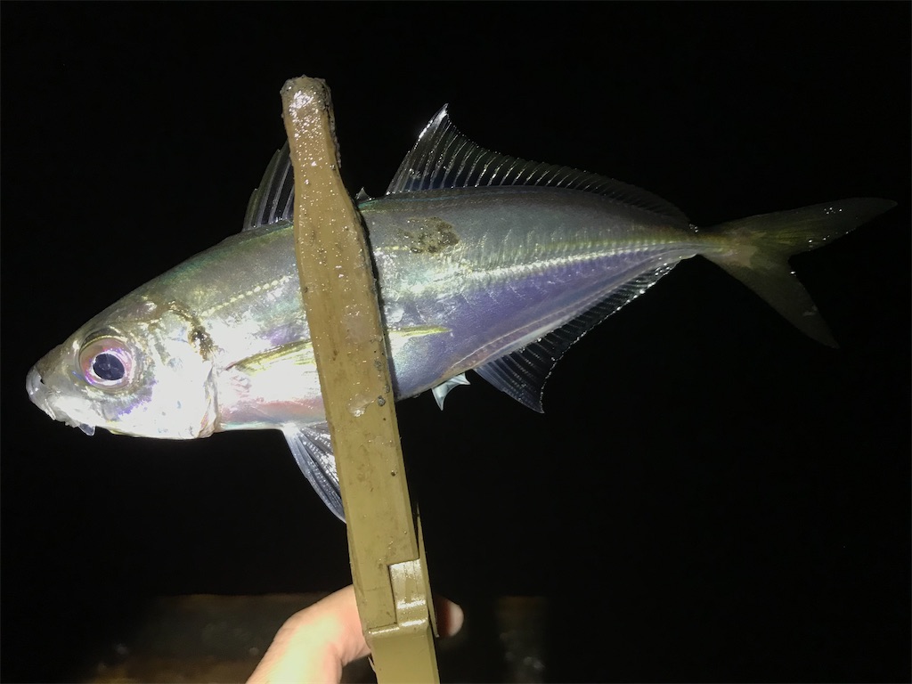f:id:esojima3:20200328120042j:image