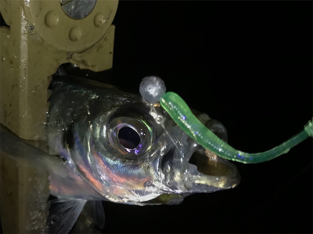 f:id:esojima3:20200328120045j:image