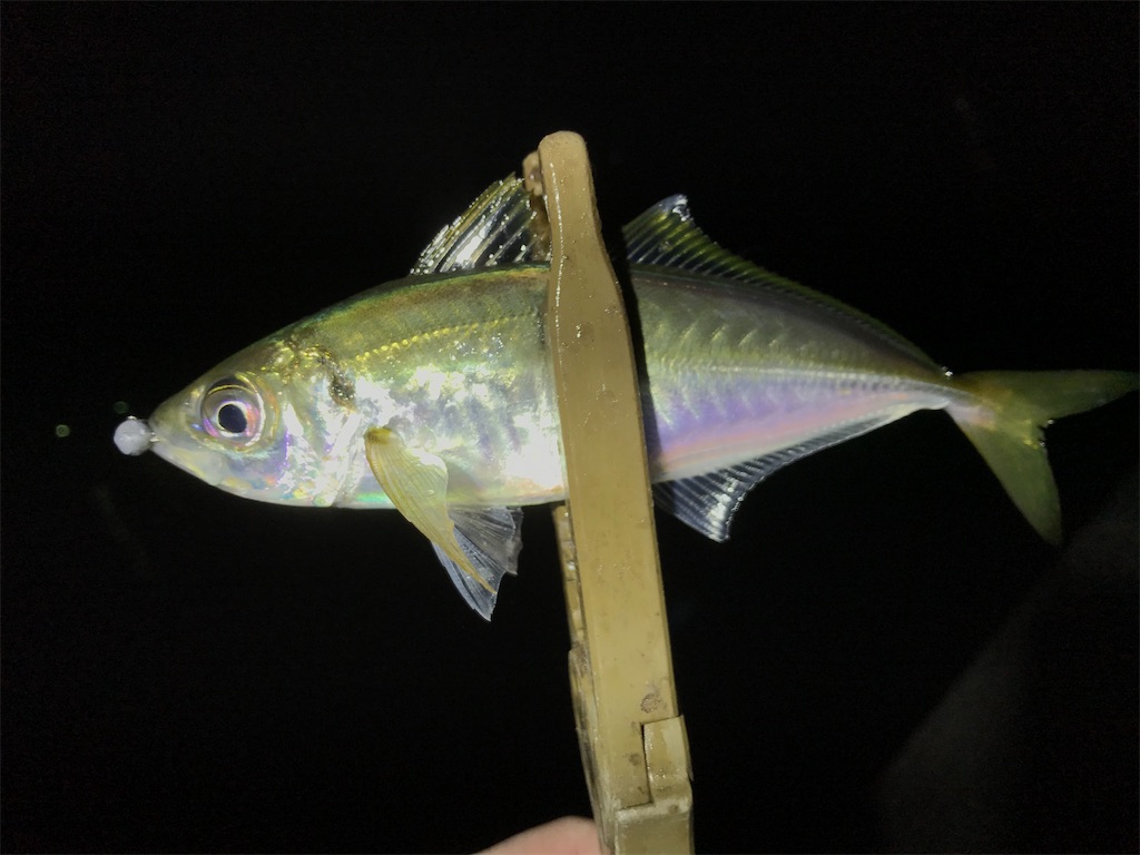 f:id:esojima3:20200330004812j:image