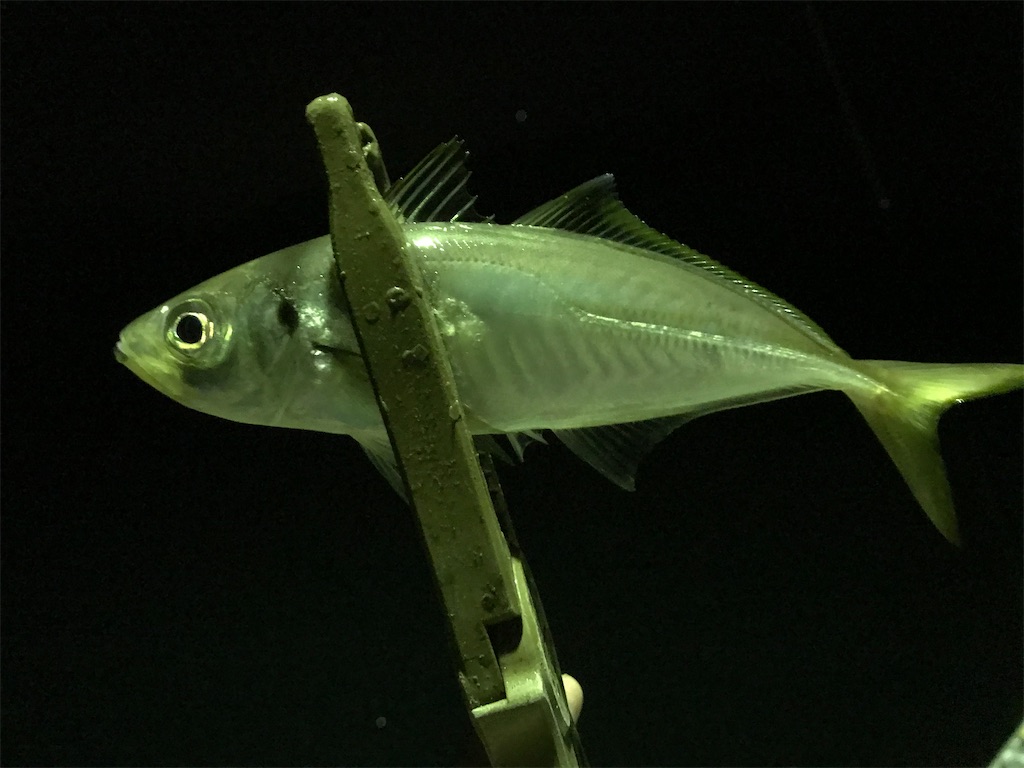 f:id:esojima3:20200330004829j:image