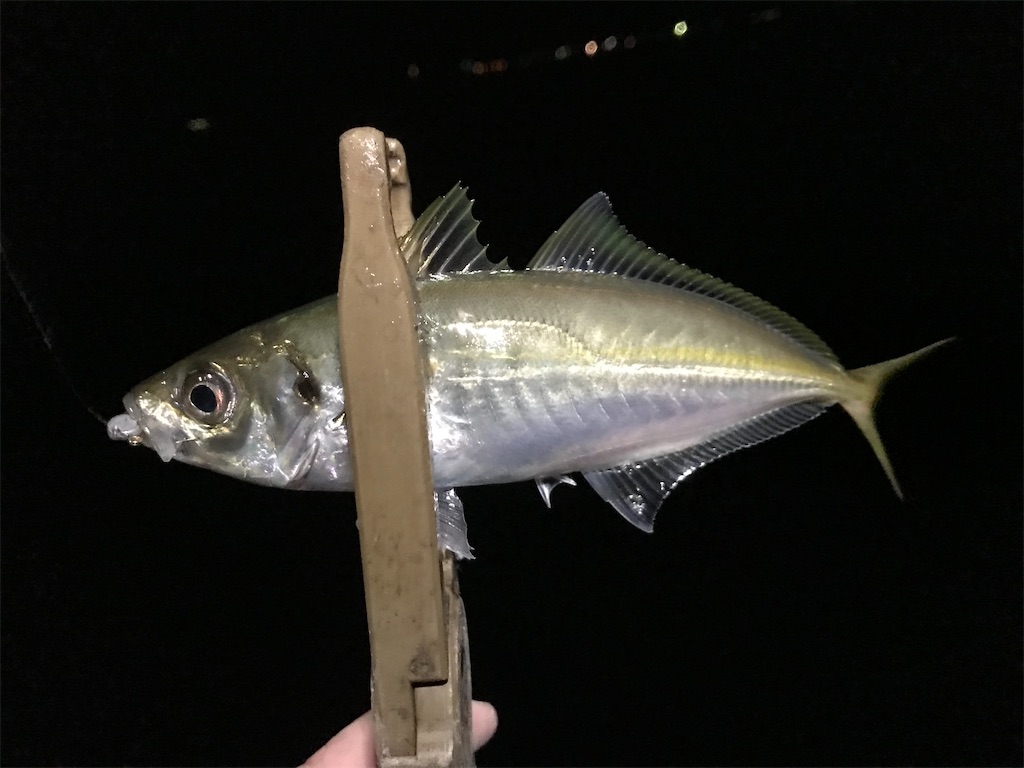f:id:esojima3:20200330004833j:image