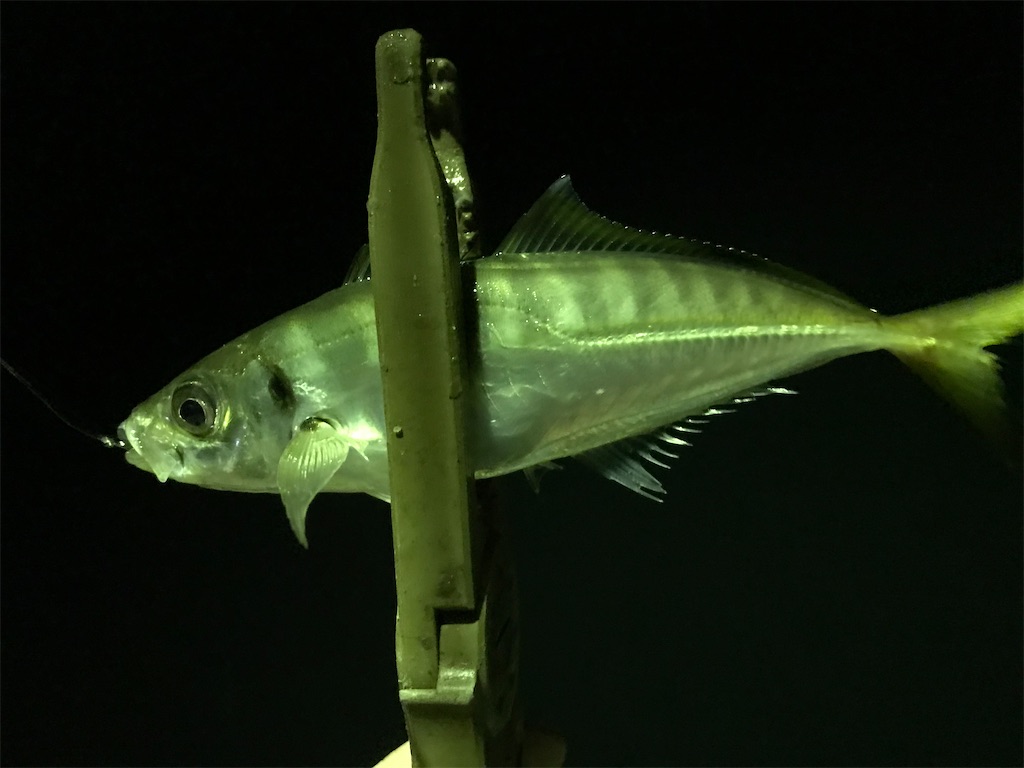 f:id:esojima3:20200330004837j:image