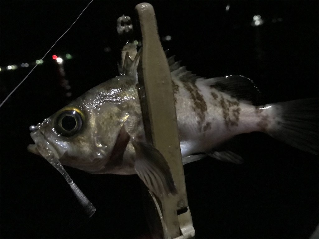 f:id:esojima3:20200330004901j:image