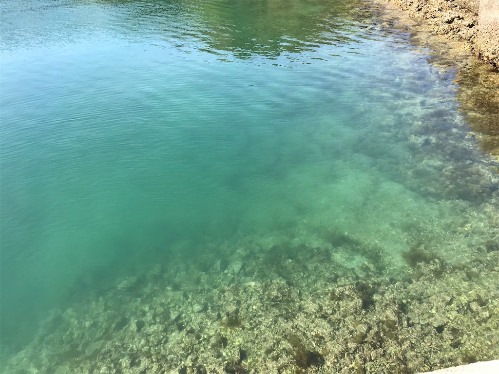 f:id:esojima3:20200331125931j:image f:id:esojima3:20200331125931j:image