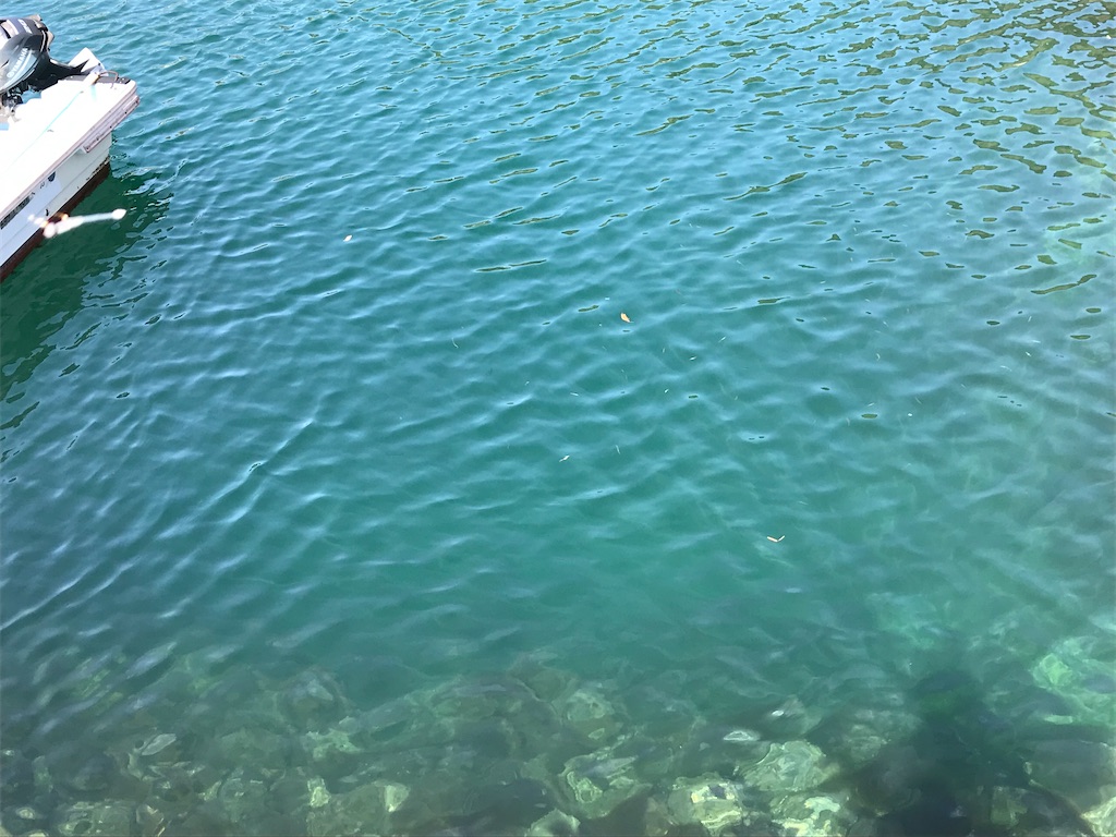 f:id:esojima3:20200331125935j:image f:id:esojima3:20200331125935j:image