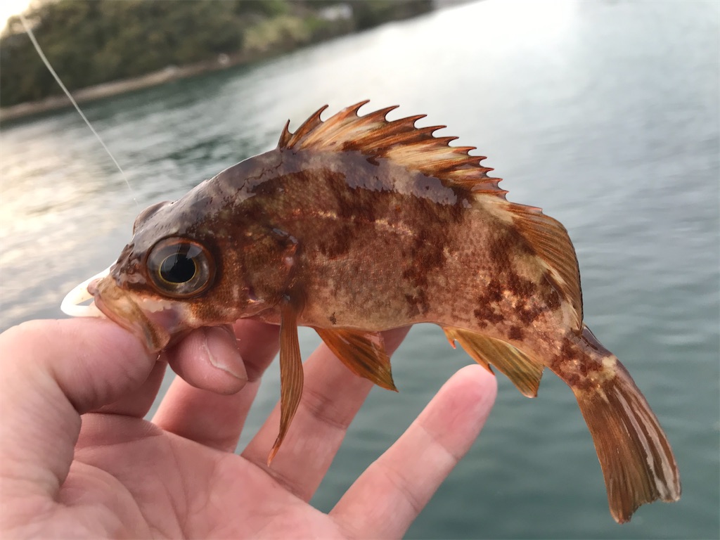 f:id:esojima3:20200331135825j:image f:id:esojima3:20200331135825j:image